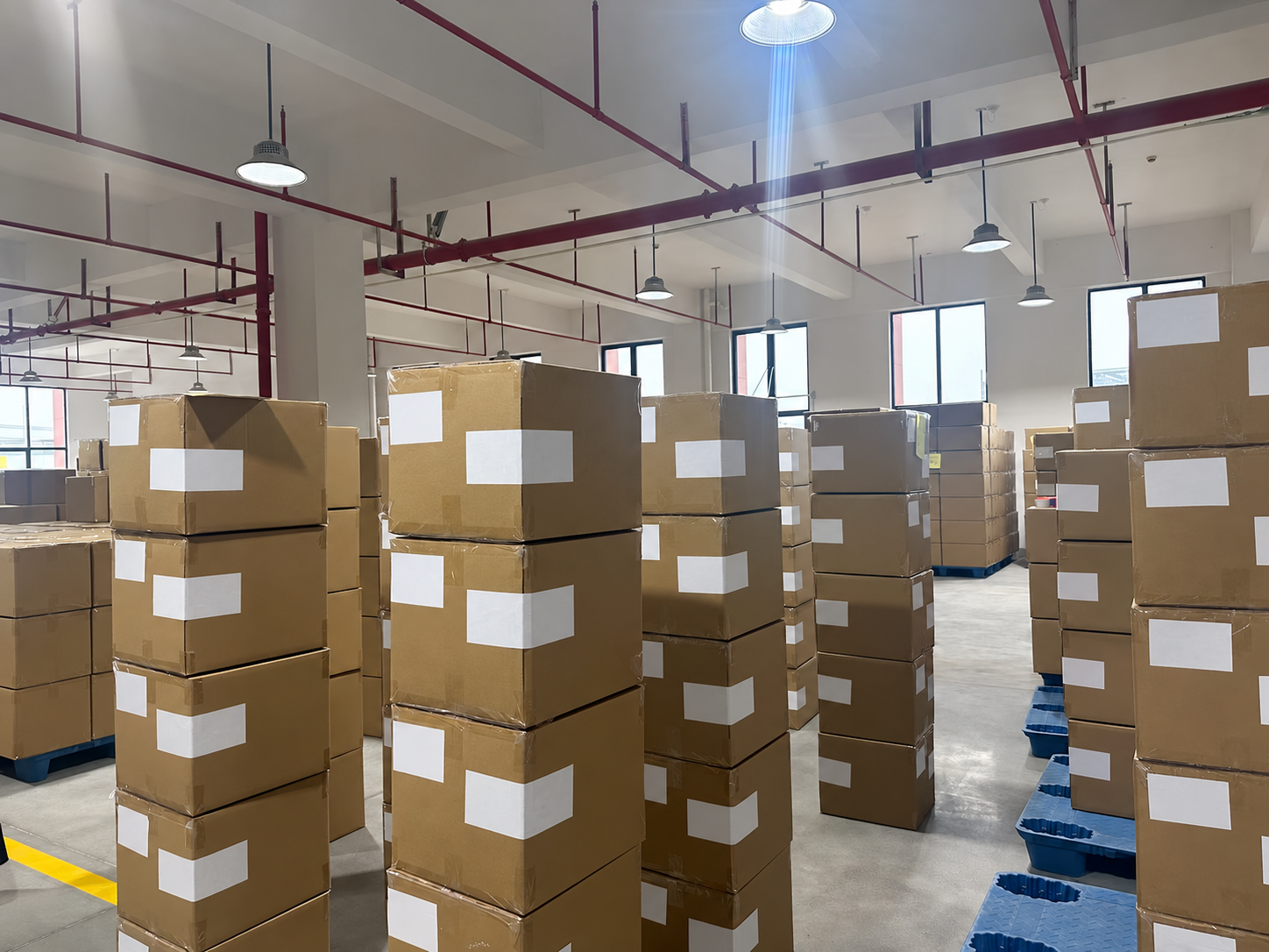 Packing & dispatch